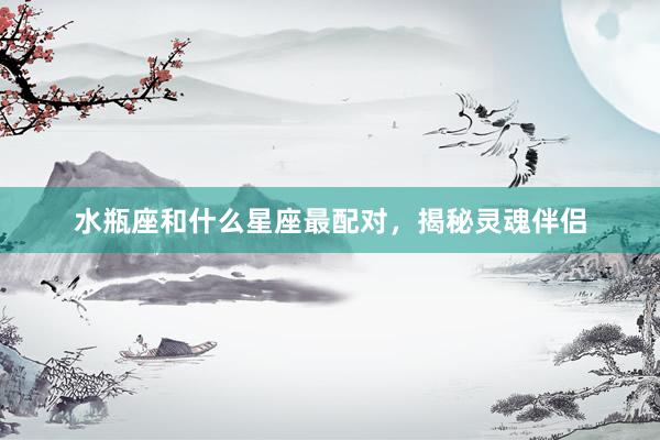 水瓶座和什么星座最配对，揭秘灵魂伴侣