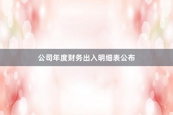 公司年度财务出入明细表公布