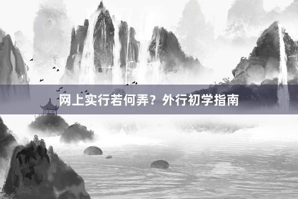 网上实行若何弄？外行初学指南
